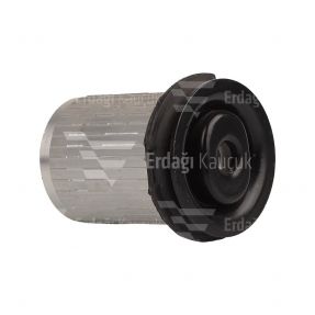 SAC SALINCAK BURCU / 10-00391