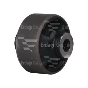 SALINCAK BURCU / 10-00648